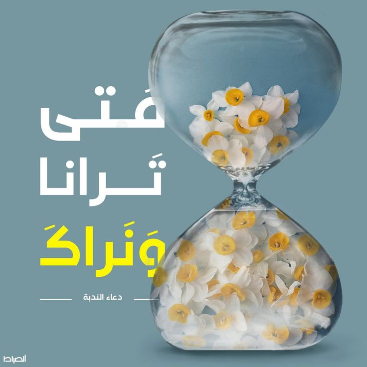 دعای ندبه امام زمان ظهور انتظار منجی
